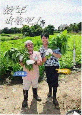 甜宠日常篇更新封面